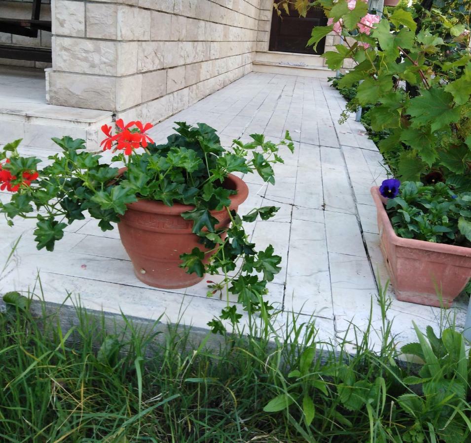 Apartments Mamich Kastela Dış mekan fotoğraf
